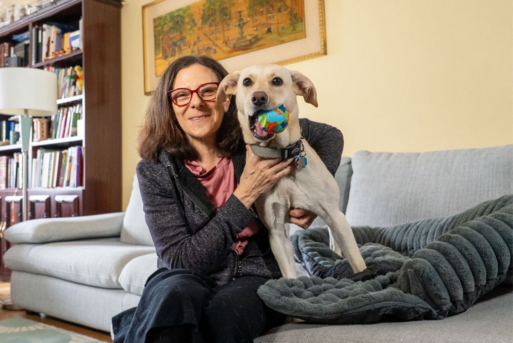 A woman on a couch with yellow Lab mix who has a ball in her mouth