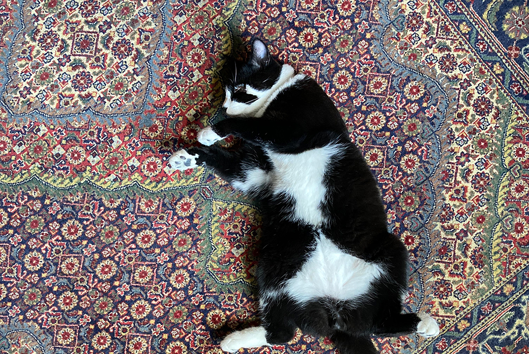 Kibbeh on a carpet