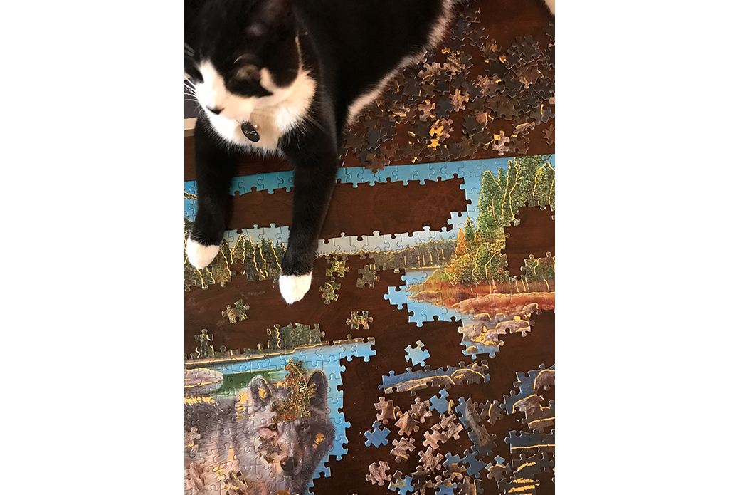 Kibbeh resting on puzzle pieces