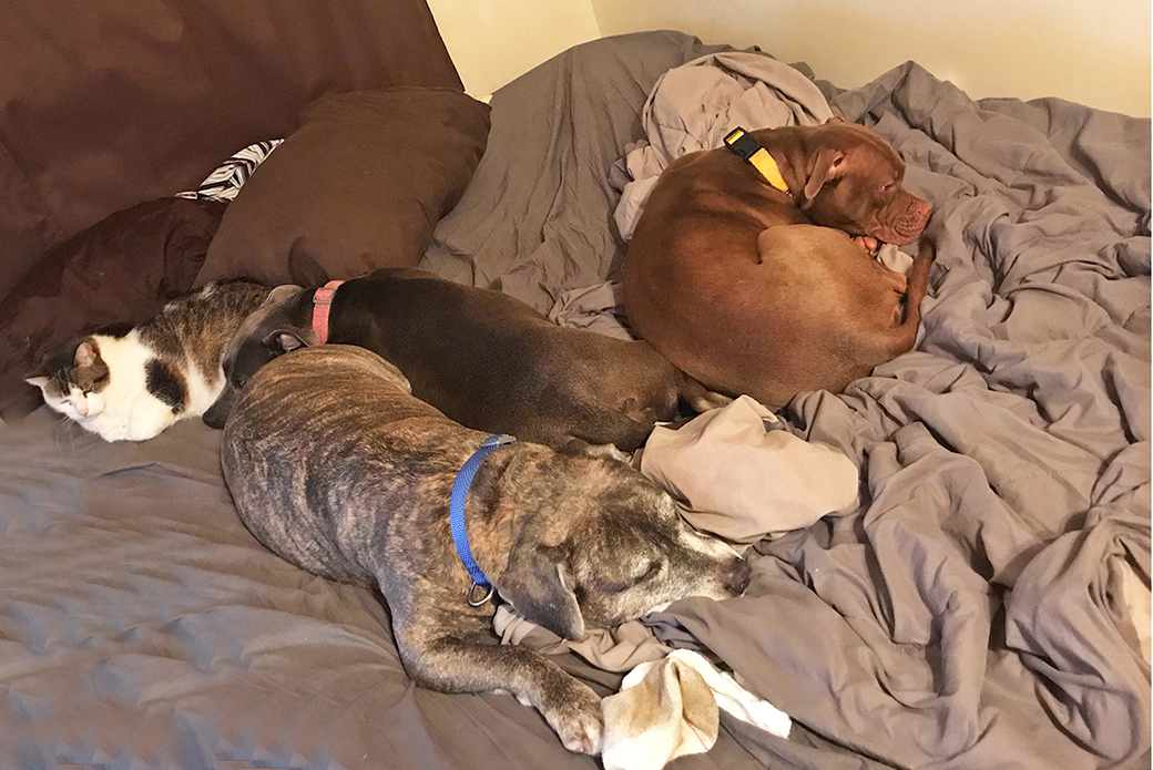 Betty and her siblings sleeping