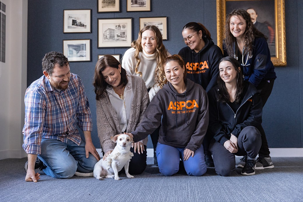 Maeve, Alex, Heather and Carly with the ASPCA team