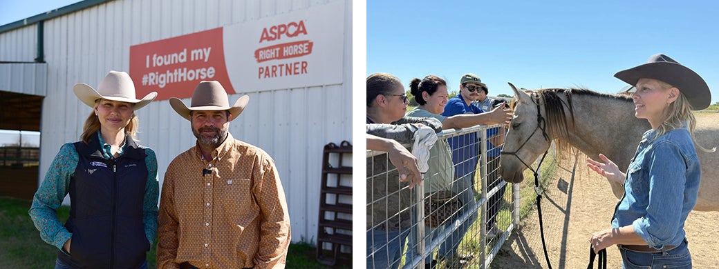 A First Adoption — and the Right Horse | ASPCA