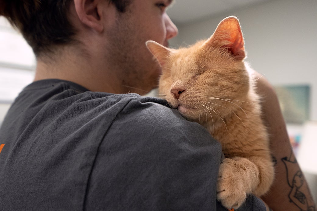 String Bean being held by Adam Whisman