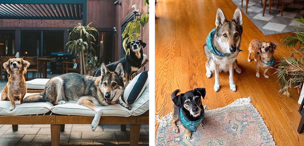 Tiki with Meyer and Gaia