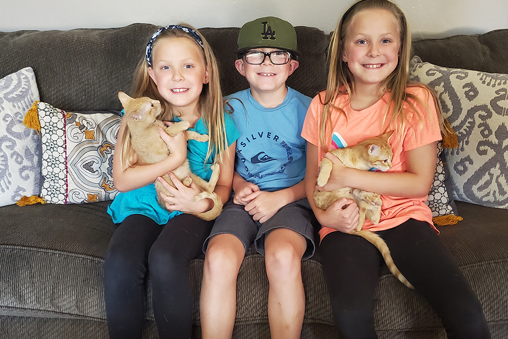 The McClure family's children with Tangerine and Marmalade, Ziggy's foster kittens
