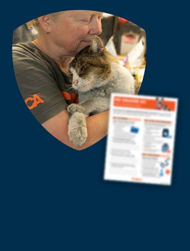 A person hugging a cat. A small unfocused image of the Disaster Kit