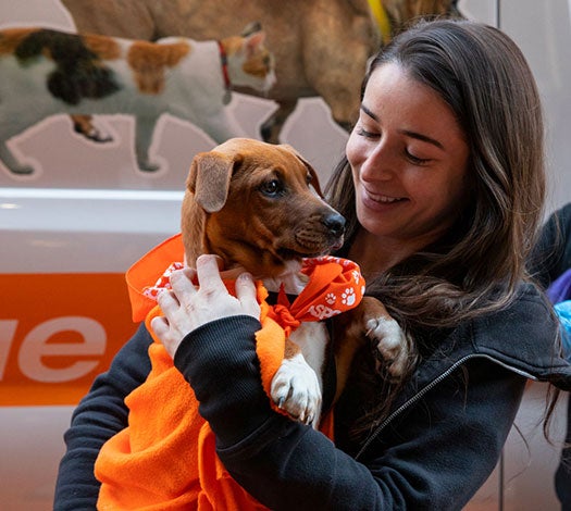 Person smiling with dog