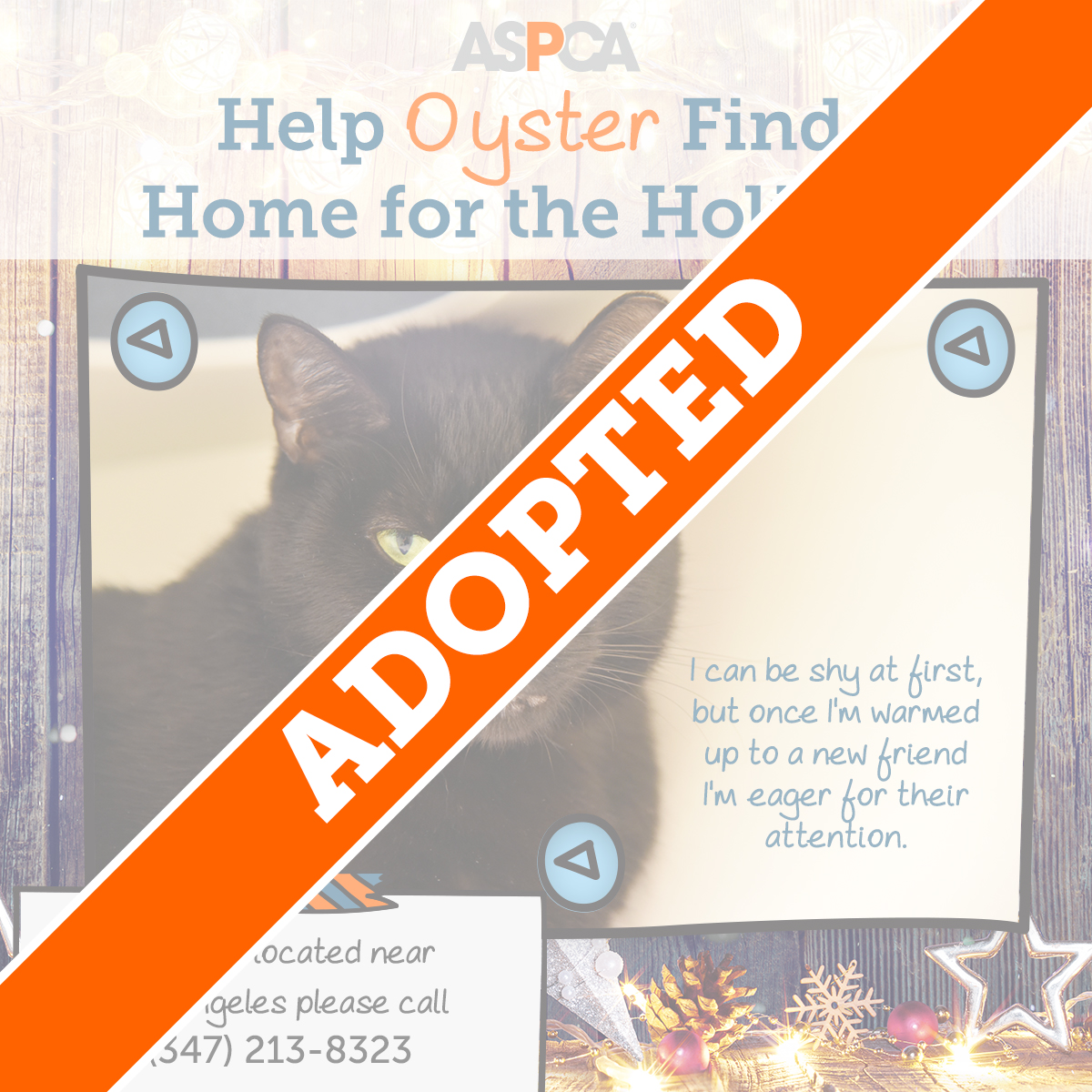 Oyster Adopted