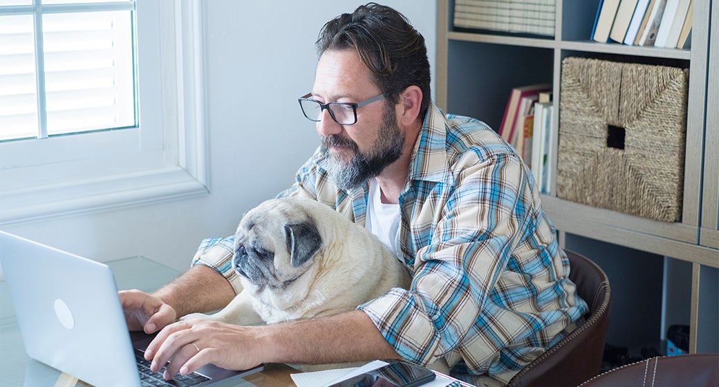 older pug sitting on a man's lap while he is on the computer