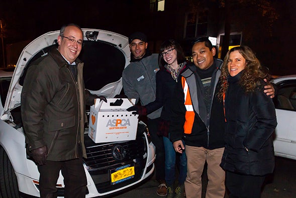 “Miracle” Kitten Survives Ride Under Car Hood in Freezing Temperatures