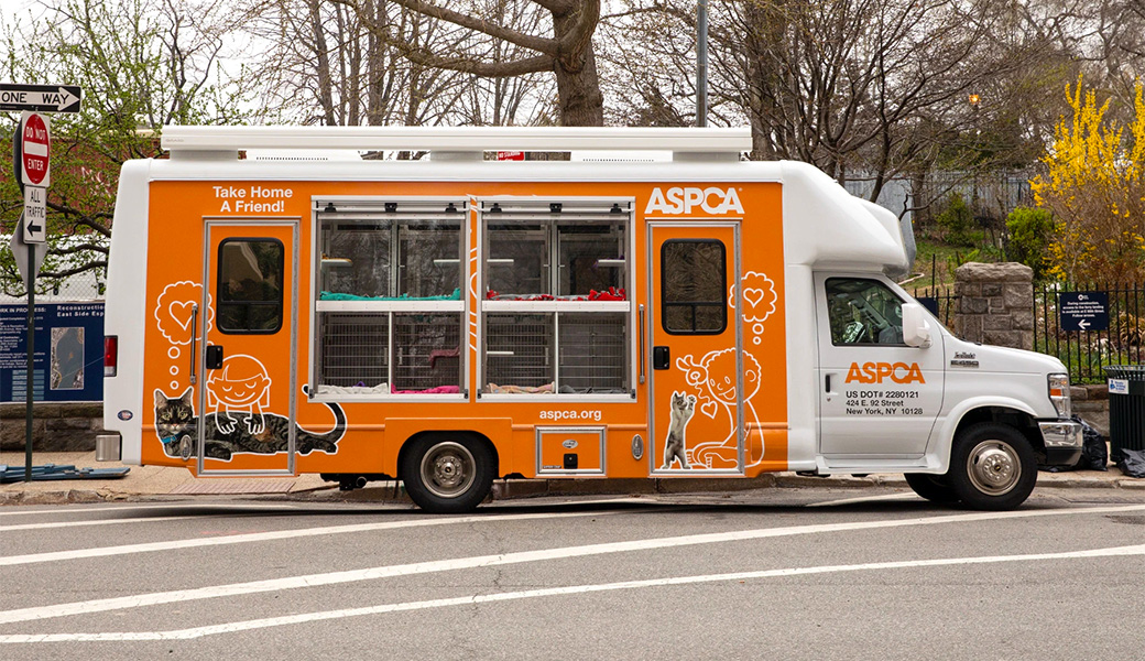 Mobile Adoption Calendar Locations Nyc Aspca