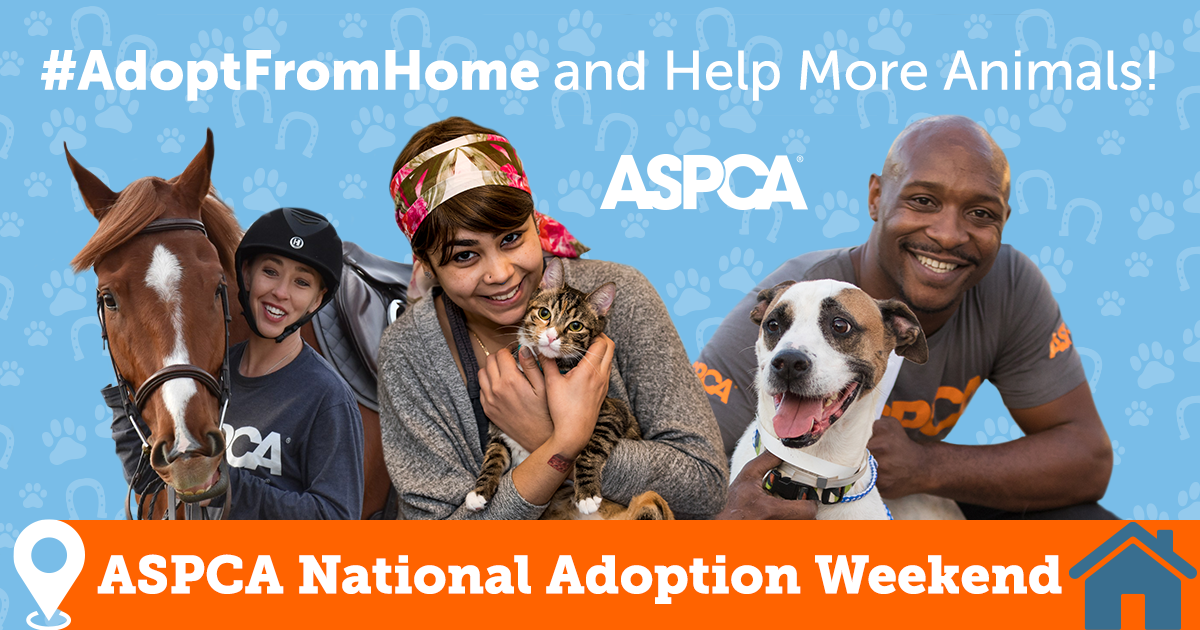 aspca shelters near me