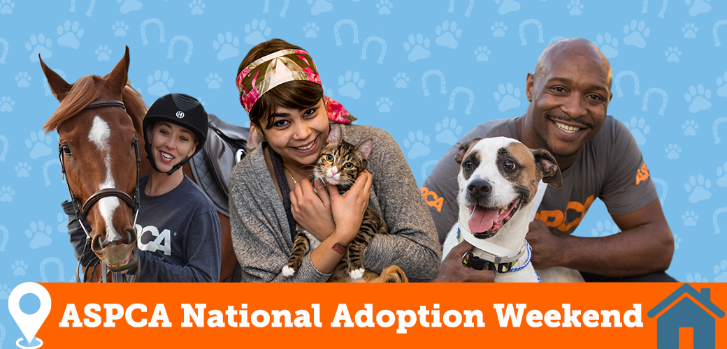 national pet adoption weekend