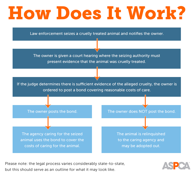 What Are Cost of Care Laws and How Do They Work? | ASPCA