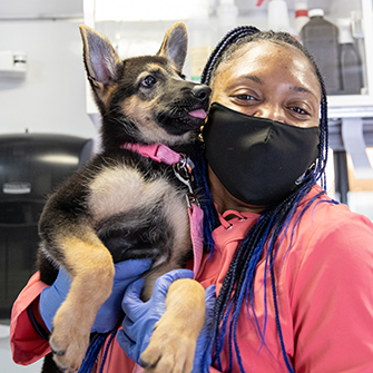 New York City Aspca