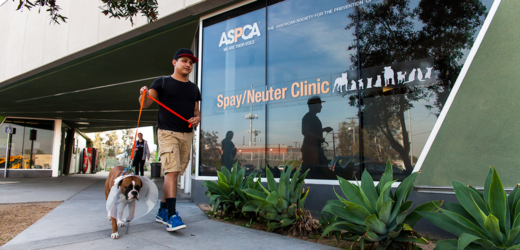 animal hospital on slauson and western