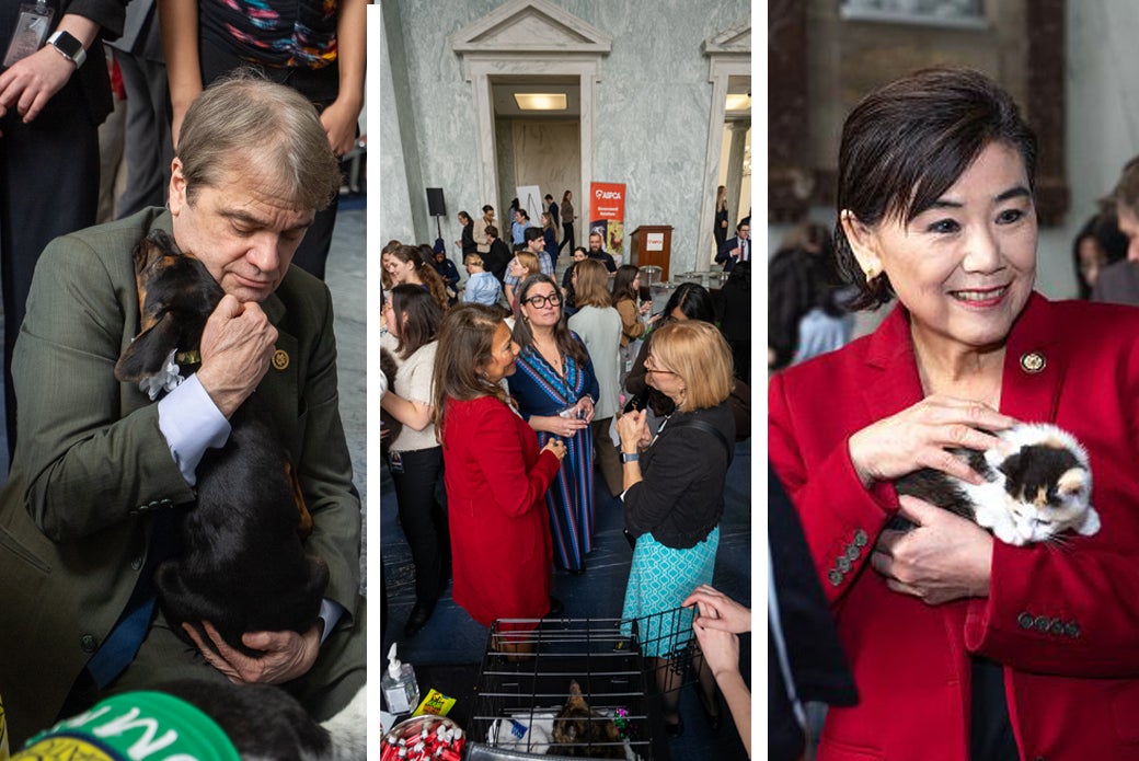 Members of congress with puppies