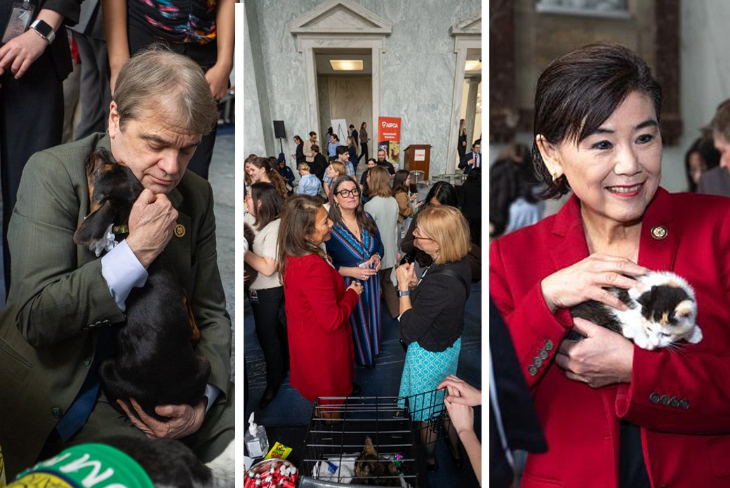 Members of congress with puppies