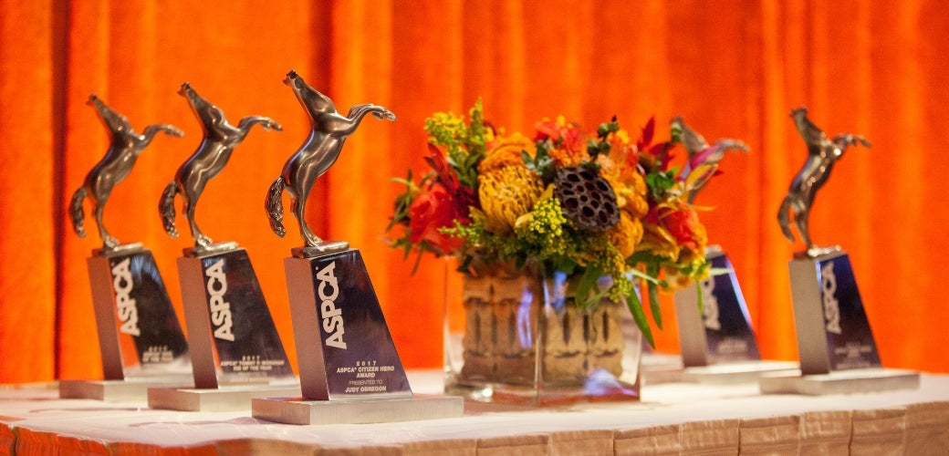 Awards and flowers on a table