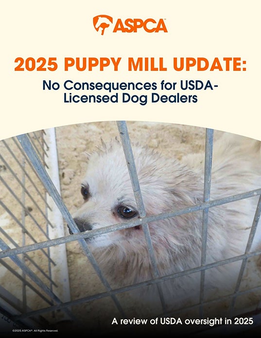 2025 USDA enforcement report cover