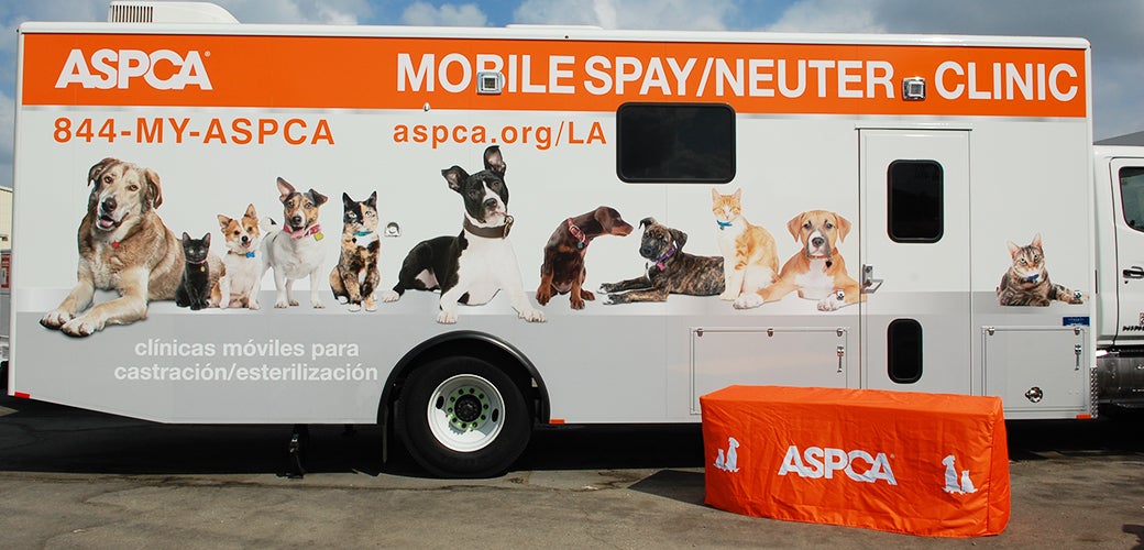 Sn mobile clinic 3 la sept2017 0003 main 1 jpg ASPCA