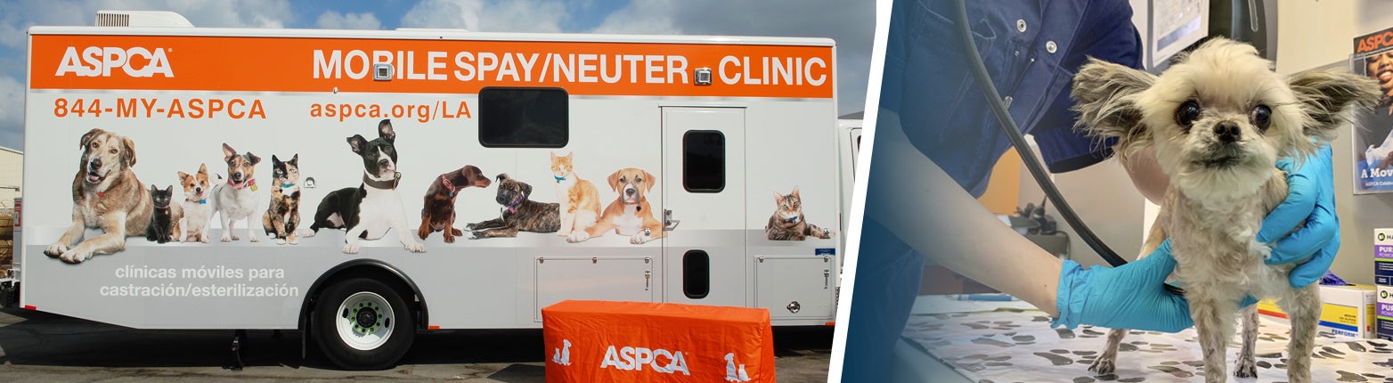 mobile clinic LA