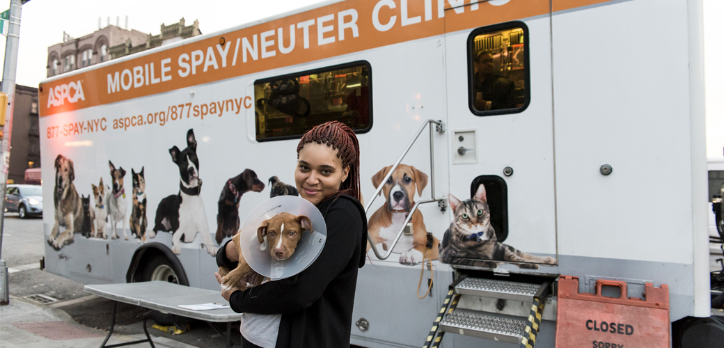 Spay/Neuter Clinic