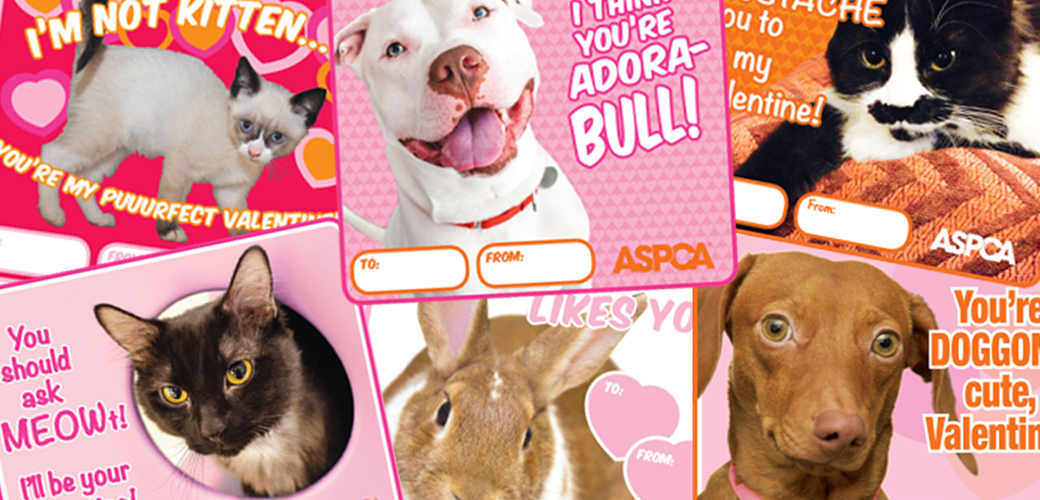 Spread Love this Valentine’s Day: Download Our Pet-Themed Printable Cards!