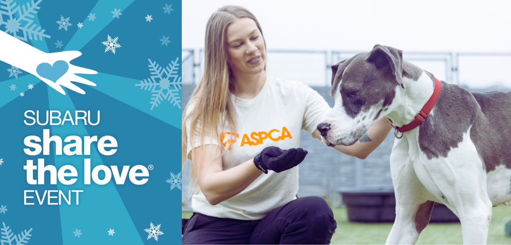 The 2025 Subaru Share the Love® Event is Back to Help Animals like Drax ...