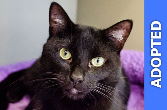 Babble was adopted!