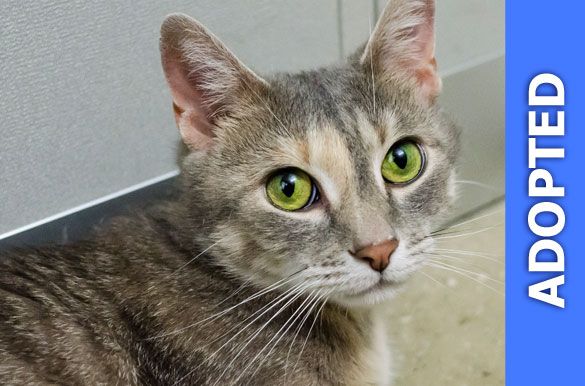 Barb was adopted!