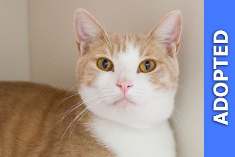 Farrell was adopted!