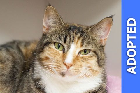 Herkimer was adopted!