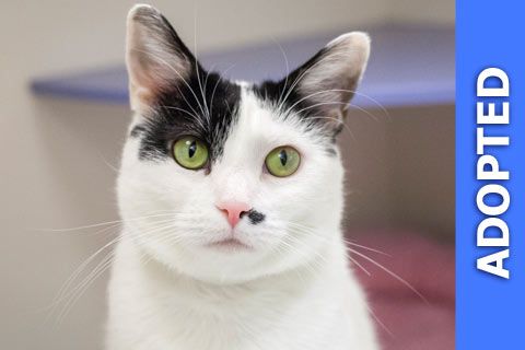 Jessa was adopted!