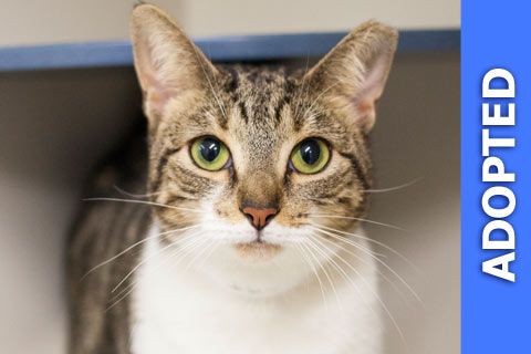 Jodi was adopted!