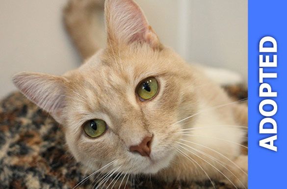 Jupiter was adopted!