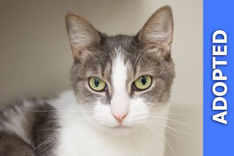 Luke was adopted!