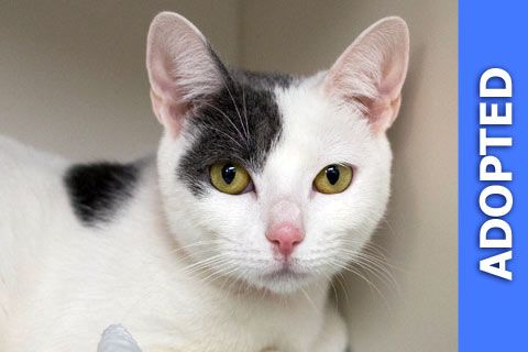 Portia was adopted!