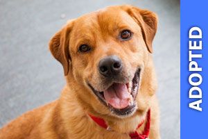 Theodore was adopted!