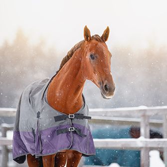 A horse wearing a coat in a corral while snow falls