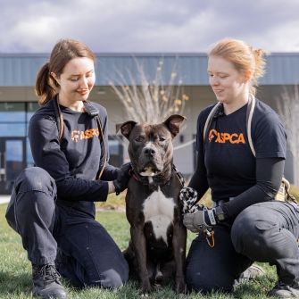 ASPCA Events | ASPCA