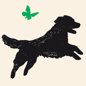 Puppy Mill Pipeline bill victory graphic, black silhouette of a dog jump of a tan back ground with a green butterfly next to it
