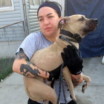 ASPCA responder holding emaciated pit bull