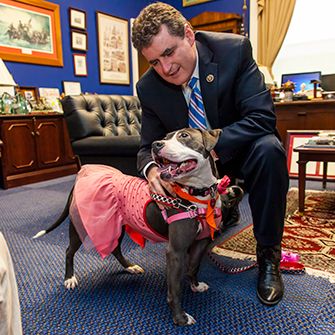 Bam Bam Goes to Washington on Behalf of Animal Fighting Victims