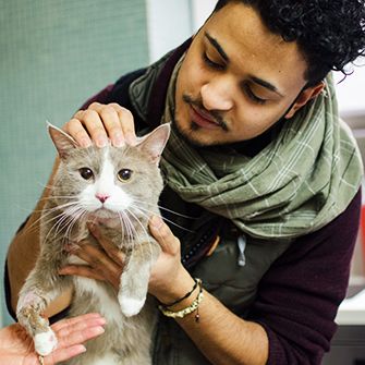 Cat Gets Lucky Break at ASPCA Animal Hospital After Swallowing a Wishbone