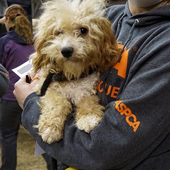 an ASPCA responder carrying a rescued dog