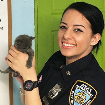 NYPD Rescues Kittens Abandoned in Suitcase in Brooklyn