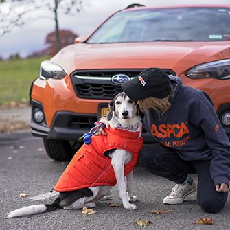 woman in an ASPCA hoodie hugging a dog in front of an orange subaru