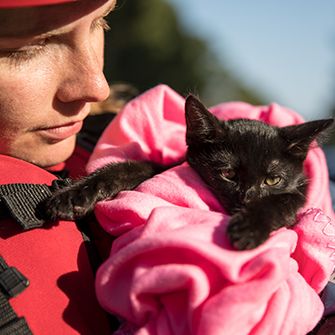 black cat in a pink blanket being held by a rescuer