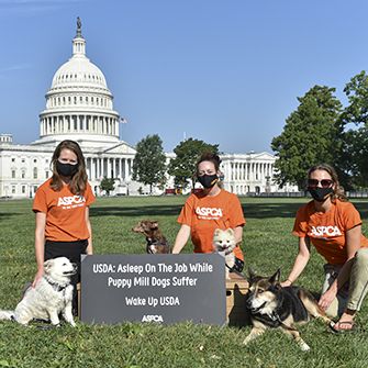 ASPCA petition delivery